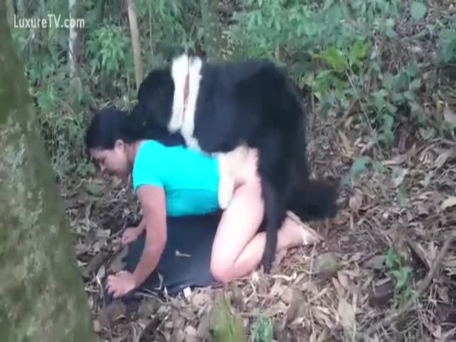 Esposa trepando com o cachorro no mato